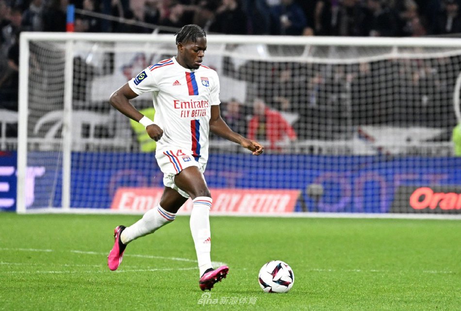 泊中的惊人 泊中的惊人